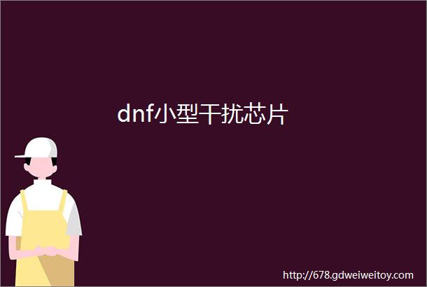 dnf小型干扰芯片